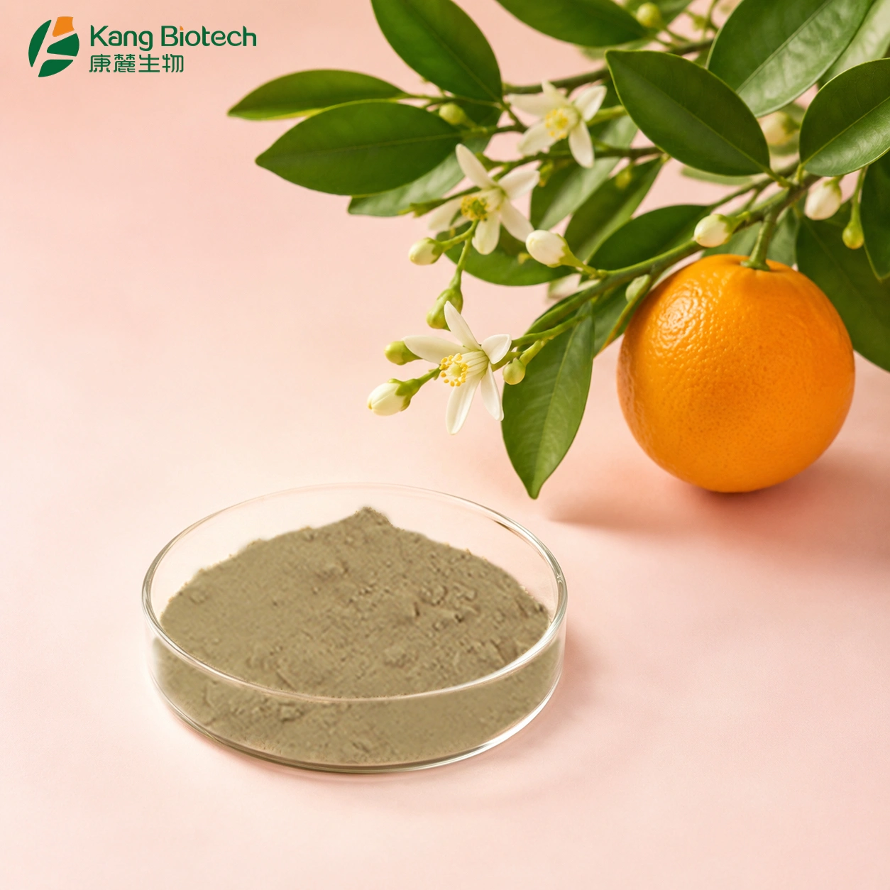 Supercritical CO2 Extraction Flavonoid